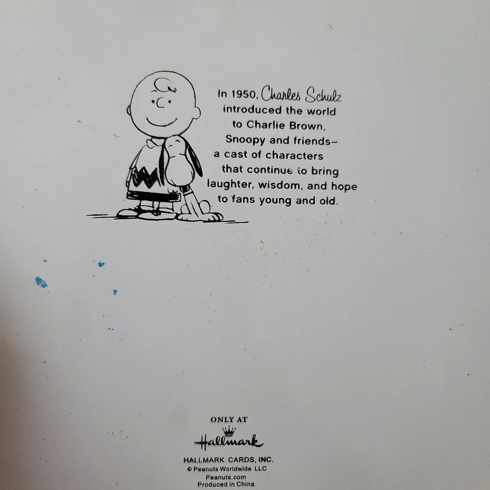Hallmark Peanuts Charlie Brown Clubhouse Game Day Metal Plaque Wall‎ Decor
